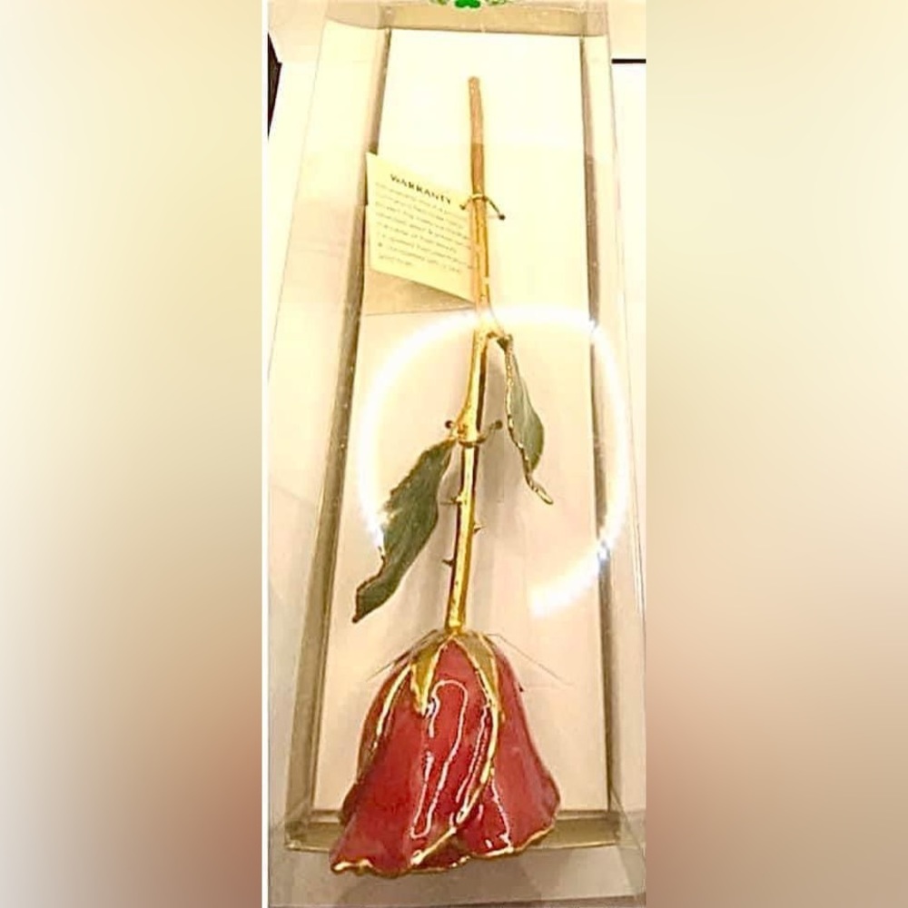 Nib Vintage Stock 24k Gold Dipped Real Red Long S… - image 4